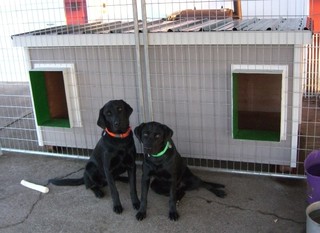 Wally & Hazel - Oregon